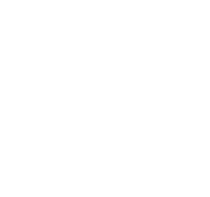Deutsche Sachverständigen Gesellschaft